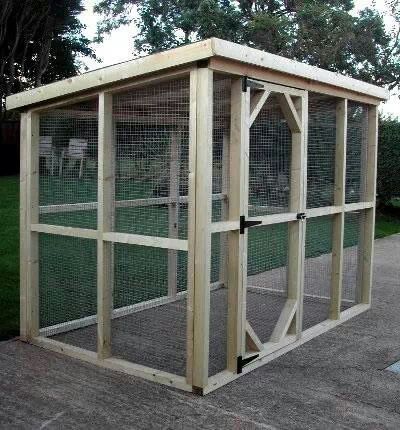 nice & basic Reban Ayam, Chicken Pen, Outdoor Cat Enclosure, Simple Shed, Rabbit Run, Coop Design, Chicken Coop Designs, Bird Aviary, Cat Cages