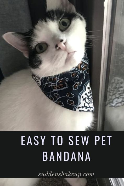 Cat Bandana Diy, Diy Pet Gifts Craft Ideas, Diy Dog Kerchief, Cat Collar Sewing Pattern, Cat Clothes Diy Free Pattern, Cat Bandana Pattern, Diy Cat Collar, Cat With Bandana, Sew Bandana