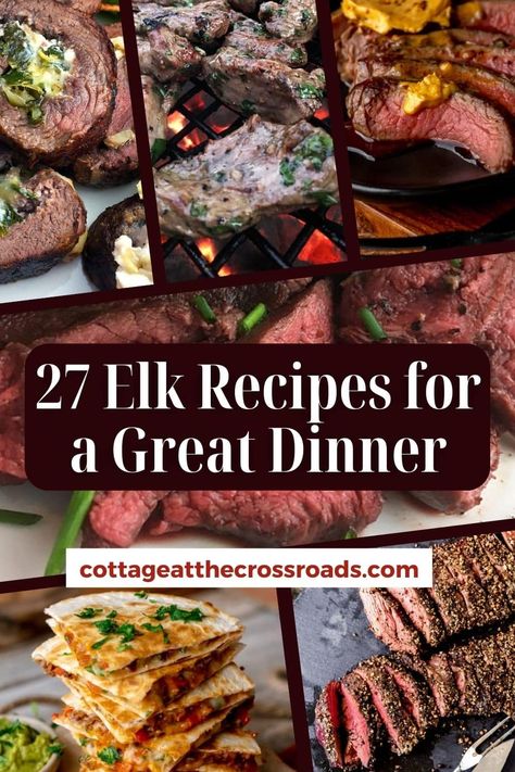 Ground Elk Recipes, Elk Meat Recipes, Moose Recipes, Elk Steak, Meet Recipe, Moose Meat, Backstrap Recipes, Elk Recipes, Deer Meat Recipes