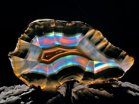 Iris agate ~ photographer Warren Krupshaw, who has an *awesome* gallery of minerals #beauty #photography #macro Rainbow Agate, Iris Agate, Black Pinterest, Rocks And Fossils, Geology Rocks, Rock Minerals, Pretty Rocks, Summer Street, Spring Jewelry