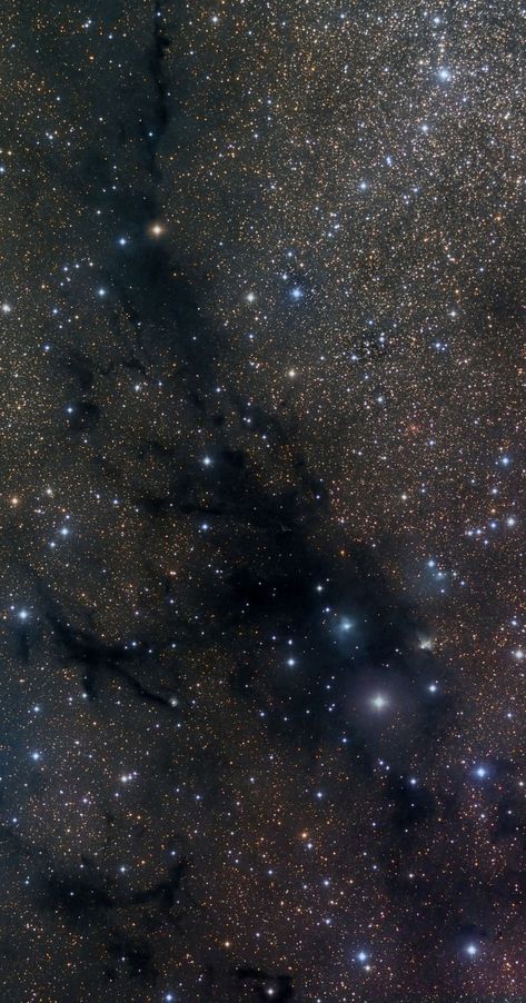 Dark Nebula, The Milky Way Galaxy, Cosmos Space, Space Photography, Nebulas, Space Photos, Milky Way Galaxy, Dark Sky, Galaxy Art