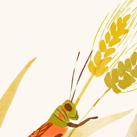 Watercolor Grasshopper, Grasshopper Illustration, Marisol Ortega, Bird Stencil, Illustration Watercolor, Instagram A, Wheat, Wind Sock, Illustration Art