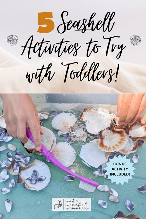 Title reads, "5 Seashell Activities to Try with Toddlers." Two seashell icons are beside the title. Underneath title is an image of a child's hands washing seashells using a toothbrush. Logo at the bottom says Make Mindful Memories. Sea Week Activities For Toddlers, Seashell Crafts Preschool, Seashell Crafts For Toddlers, Toddler Ocean Activities, Shell Activities Preschool, Ocean Toddler Activities, Beach Activities For Toddlers, Seaside Activities For Kids, Ocean Activities For Toddlers