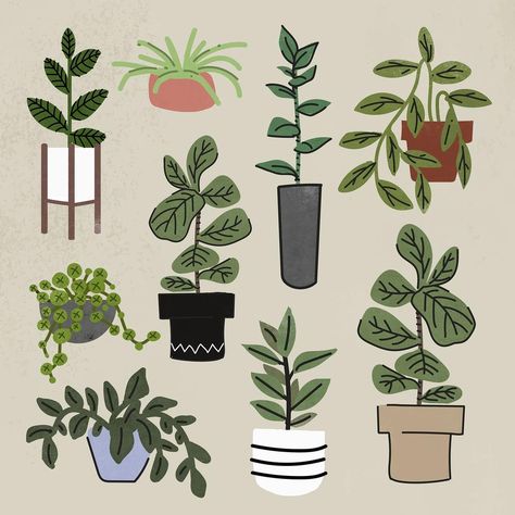 Houseplant clipart, home decor illustration set psd | premium image by rawpixel.com / Aum Plants Pothos, Home Decor Illustration, Pothos Plants, Plants Hanging, Collage Elements, Decor Illustration, Element Design, Ipad Kids, Cute Clipart