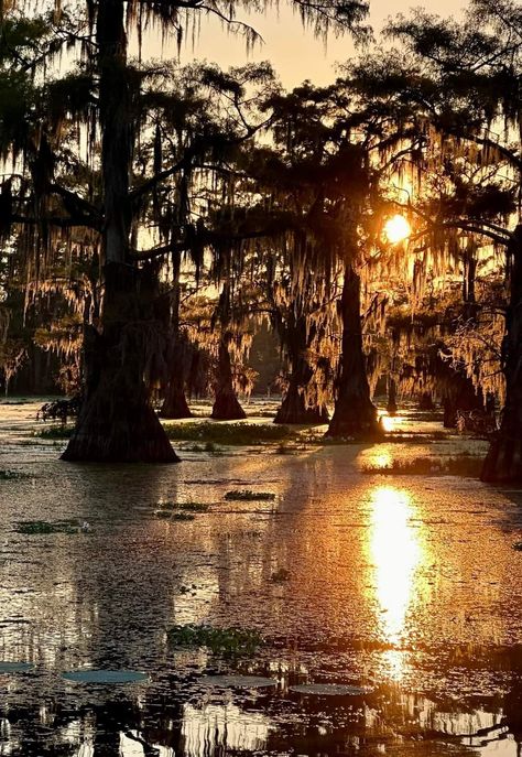 Bayou Aesthetic, Witch Home, Louisiana Bayou, Louisiana Art, Save File, Personal Brand, Grimm, Louisiana, 18th Century