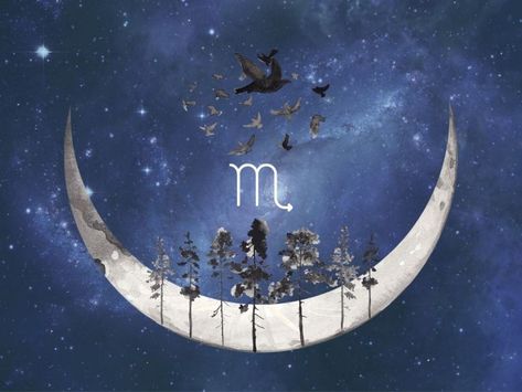 Intuitive Astrology: Scorpio Super New Moon November 2020 - Forever Conscious New Moon Scorpio, Scorpio New Moon, Super New Moon, New Moon In Scorpio, Moon In Scorpio, Astrology Scorpio, Two Way Street, Hindu Rituals, New Moon Rituals