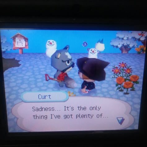 Acnh Quotes, Animal Crossing Dialogue, Wise Animals, Angry Animals, Animal Crossing Funny, Animal Crossing Memes, Animal Crossing Wild World, Got Memes, Animal Crossing Villagers