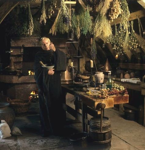 Herbalist Shop, Derek Jacobi, Witch Hut, Rough Week, Witch Cottage, Early Middle Ages, Hedge Witch, Herbal Healing, Baba Yaga