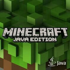 Minecraft App, Minecraft Java Edition, Minecraft Java, Minecraft Video Games, Minecraft Pocket Edition, Minecraft Games, Game Info, How To Play Minecraft, Pocket Edition