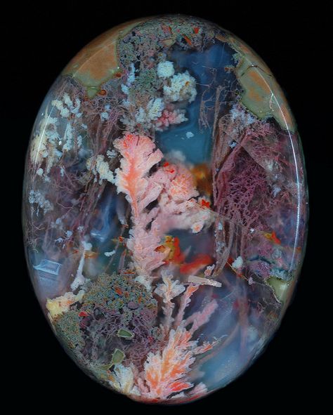 Plume Agate, Crystal Castle, Pretty Rocks, Beautiful Rocks, Mineral Stone, Minerals And Gemstones, Rocks And Gems, Precious Gems, Gems And Minerals