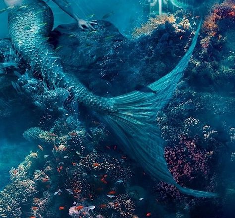 credit unknown🪼 #mermaid #underwater #ocean #aesthetic #blue Blue Mermaid Aesthetic, Era Victoria, Greek Sea, Siren Mermaid, Ocean Aesthetic, Mermaid Pictures, Mermaid Aesthetic, Parc D'attraction, Mermaid Life