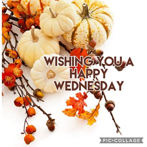 Happy Wednesday Fall Images, Paparazzi Friday, Happy Wednesday Fall, Fall Wednesday, Wednesday Fall, Rising Quotes, Encouragement Box, Fall Greetings, Good Morning Friday Images