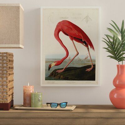 Bird Watching Gifts, Flamingo Illustration, Flamingo Wall Art, Flamingo Painting, James Audubon, Birds Of America, Grand Art Mural, John James Audubon, Bird Wall Art