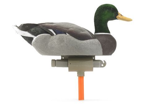 Rather than buy dozens of floating and field decoys, I use my floaters both on the water and in the field. Here's how they can do double-duty. Duck Hunting Blinds, Hunting Ideas, Bow Fishing, Duck Blind, Goose Hunting, Hunting Bow, Hunting Diy, Deer Hunting Tips, Duck Season