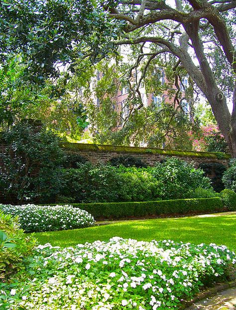 Charleston Gardens, Southern Garden, Small Backyard Gardens, The Secret Garden, Formal Gardens, Backyard Garden Design, Garden Gate, Outdoor Inspirations, White Gardens