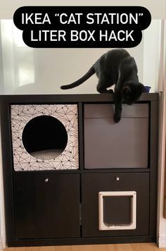 Ikea Kallax Cat Litter, Ikea Kallax Cat Hack, Elevated Cat Feeding Station Dog Proof, Kallax Cat Hack, Ikea Cat Litter Box Hack, Ikea Cat Hack, Cat Organization Ideas, Cat Feeding Station Dog Proof, Kallax Cat