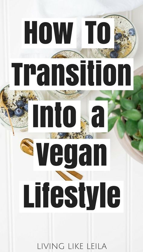 Thinking about going vegan? Read this first to make the transition easier! --www.LivinglikeLeila.com--