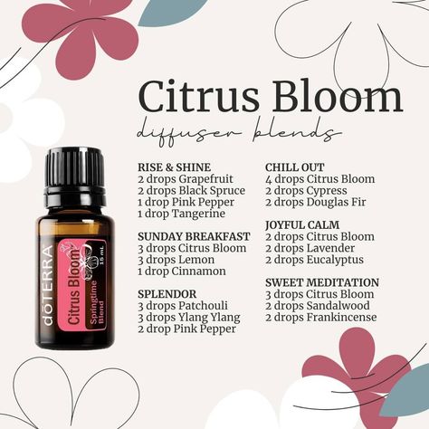 Citrus Bloom Diffuser Blends, Doterra Citrus Bloom, Best Diffuser, Diy Wax Melts, Doterra Diffuser, Essential Oil Combinations, Doterra Essential Oils Recipes, Doterra Oil, Essential Oil Diffuser Blends Recipes