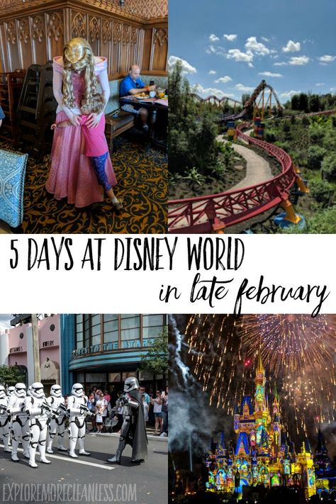 Disney In February, Disney World In February, Disney February, Disney Guide, Disney World Itinerary, Disney World For Adults, Disney World Secrets, Disney World Christmas, Disney World Hotels