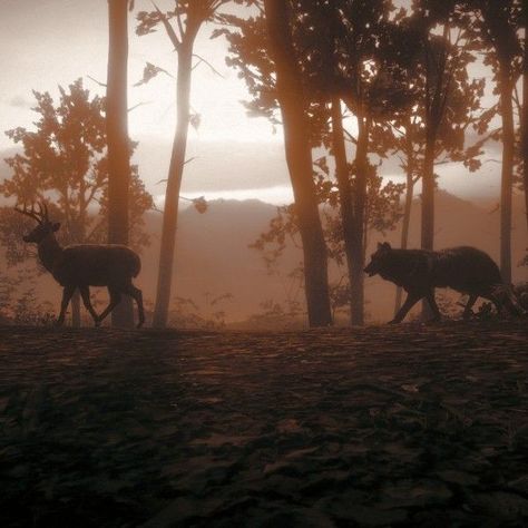 Rdr2 Aesthetic Wallpaper, Rdr Aesthetic, Rdr2 Aesthetic, Rdr2 Wallpaper, Deer Wallpaper, Read Dead, Western Artwork, Red Dead Redemption Ii, Red Redemption 2