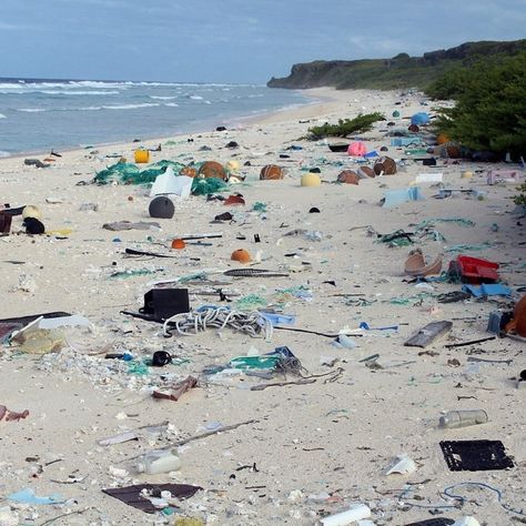 Henderson Island: This Uninhabited Island Is The World’s Most Polluted Waste Pollution, Thich Nhat Hanh Quotes, Beach Clean Up, Uninhabited Island, Clean Beach, Pacific Nw, Buddhist Quotes, The Tempest, Thich Nhat Hanh