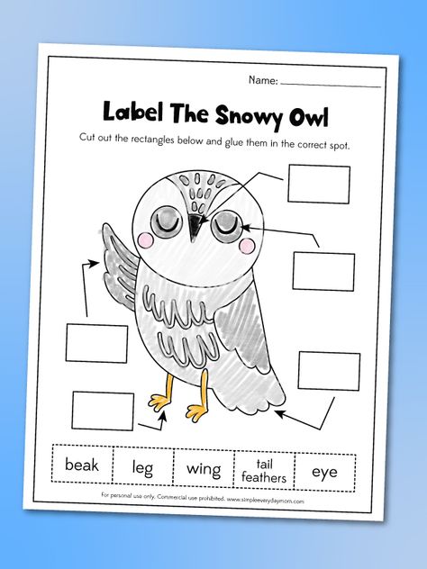 Snow Owls Preschool Crafts, Owl Learning Activities, Snowy Owl Preschool Craft, Snowy Owls Craft, Snowy Owl Coloring Page, Snowy Owl Activities Preschool, Owl Worksheets Preschool, Owl Activity For Preschool, Owl Lesson Plans For Preschool