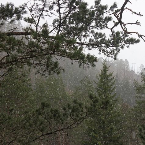 Rainy Castle, Queer Cottagecore, Space Punch, Granny Witch, Dark Naturalism, Rainy Day Aesthetic, Nature Aesthetic, Pretty Places, In The Forest