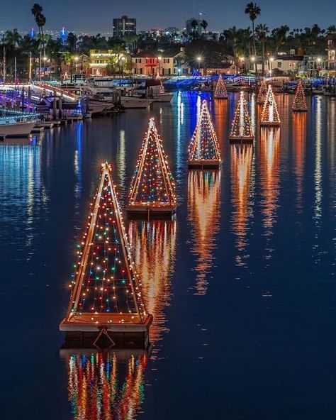 California Christmas, Boat Parade, Bay Photo, Matting Pictures, Instagram Link In Bio, Christmas Town, Beach Christmas, Holiday Market, Instagram Link