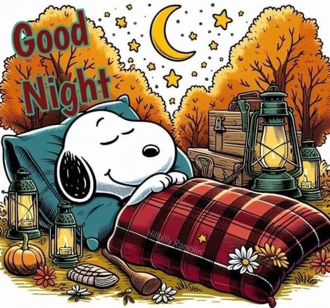 Snoopy Good Night, Goodnight Snoopy, Thanksgiving Snoopy, Snoopy Drawing, Weekend Greetings, Snoopy Collectibles, Dog Bling, Snoopy Funny, Greetings Images