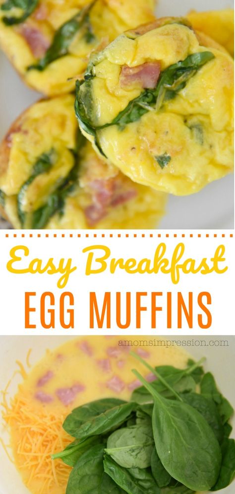 Egg Meals, Egg Muffins Breakfast Healthy, Easy Egg Muffins, Breakfast Eggs Scrambled, Spinach Muffins, Egg Muffins Recipe, Healthy Egg Breakfast, Egg Muffins Breakfast, Healthy Breakfast Muffins