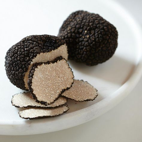 Truffles Aesthetic, Luxury Restaurant Food, Summer Truffles, Truffle Pasta, Summer Truffle, Truffle Hunting, Truffle Mushroom, Truffle Fries, Truffle Butter