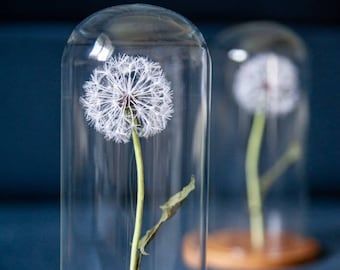 Flower In Glass Dome, Glass Dome Decor Ideas, Table Arrangement Wedding, Dandelion Decor, Cloche Decor, How To Impress, Curiosity Cabinet, Arrangement Floral, Table Arrangement