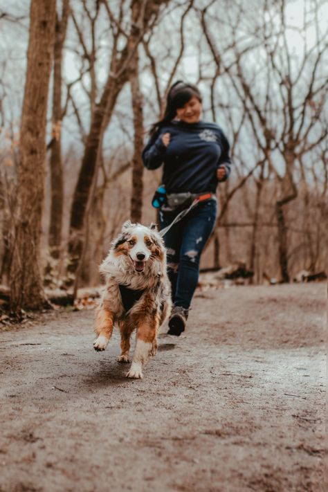 "Come on mom, keep up!" https://www.kurgo.com/outdoor-gear/k9-excursion-running-belt/ Dog Belt, Brand Video, Dog Heart, Heart Monitor, Running Dog, Dog Photoshoot, Hiking Dogs, Man And Dog, Running Belt