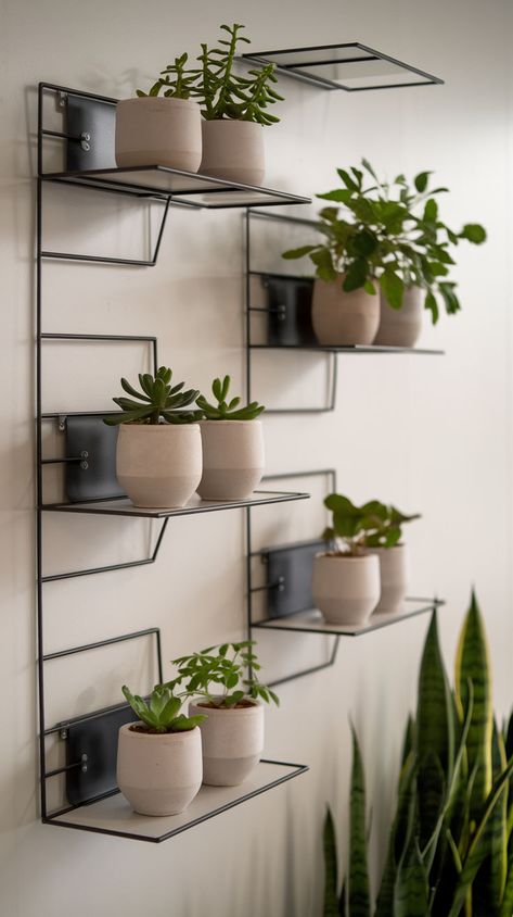 Display plants on floating shelves to keep things neat and stylish. Perfect for minimalist spaces! Click to see more minimalist ideas. Small Space Plant Display, Plants On Floating Shelves, Houseplant Display, Indoor Gardening Ideas, Minimalist Spaces, Minimalist Ideas, Plant Store, Green Oasis, Plant Shelf