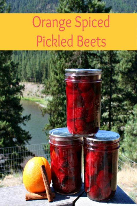 How To Freeze Beets, Canning Pickled Beets, Freezing Beets, Sandwich Cookies Christmas, Canned Pickled Beets, Pickled Beets Recipe, Beets Recipe, Pickled Cherries, Scalloped Potatoes Cheesy