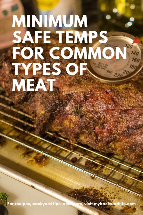 Safety is always important when cooking meat. In this guide, learn the minimum safe temperatures for all common types of grilled meat. #cooking101 Grilling 101, Grill Meat, Culinary Cooking, Food Handling, Grilling Tips, Cooking 101, Cooking Temperatures, Stuffed Whole Chicken, Ground Meat