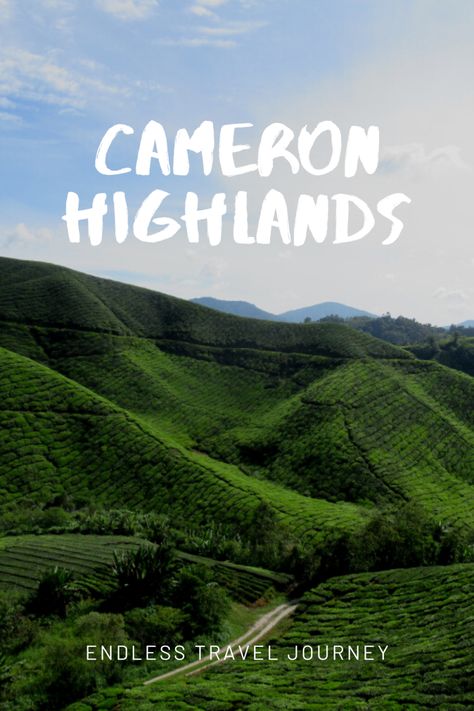 Cameron Highlands Malaysia, Malaysia Travel Guide, Penang Island, Tea Farm, Cameron Highlands, Travel Journey, Tall Buildings, Malaysia Travel, Humid Weather