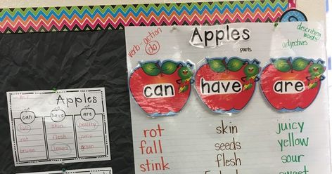 Apples Can Have Are Chart, Apple Anchor Chart Kindergarten, Apple Writing Kindergarten, Apple Anchor Chart, Can Have Are Chart, Apple Chart, Apple Kindergarten, Abc Chart, Kindergarten Anchor Charts