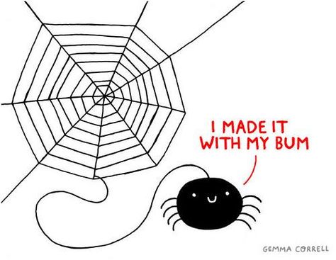 Spider I made it with my bum science biology humor potty humor joke cartoon Spider Puns, Funny Commercial Ads, Fun Art Print, Funny Commercials, Funny Letters, Quirky Art, Lettering Tutorial, Memes Humor, Fete Halloween