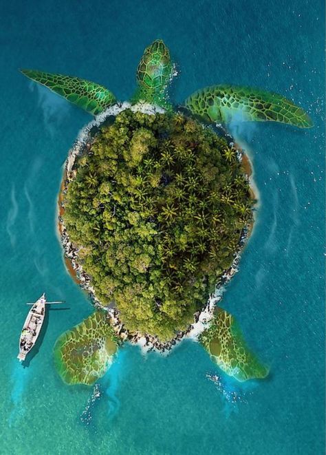 Island Digital Art, Titan Design, Giant Sea Turtle, Interactive Artwork, Sea Turtle Pictures, Gond Painting, Turtle Island, Sea Turtle Art, Retail Signage