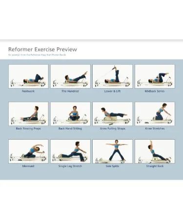 Pilates Reformer Exercise Chart PDF - Free Download (PRINTABLE) Free Pilates Workout, Pilates Certification, Yoga Chart, Exercise Chart, Reformer Exercises, Beginner Pilates Workout, Pilates Workout Plan, Wall Pilates, Calorie Workout