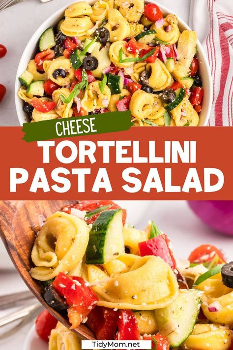 Cheese Tortellini Pasta Salad is always a winner at a summer BBQ but they're also amazing for meal prep, too. This easy cold pasta salad recipe is chock-full of fresh ingredients like juicy cherry tomatoes, bright basil, crunchy bell peppers, and parmesan cheese, and more all mingling together in an irresistible homemade Italian dressing in this satisfying yet simple salad. PRINTABLE RECIPE at TidyMom.net Greek Tortellini Pasta Salad, Easy Cold Pasta Salad, Greek Tortellini, Tortellini Pasta Salad Recipes, Greek Tortellini Salad, Perfect Picnic Food, Homemade Greek Dressing, Tortellini Pasta Salad, Greek Pasta Salad Recipe