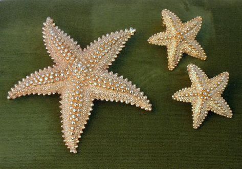 Vintage Monet Starfish Set Brooch & Clip Earrings #vintagejewelry #Monet #jewelryset #starfish #brooch #earrings Vintage Jewellery Crafts, Brooch Embroidery, Seed Bead Art, Beaded Starfish, Figural Jewelry, Beaded Jewelry Designs, Vintage Monet, Beaded Animals, Beading Projects