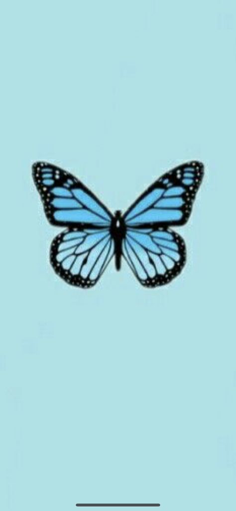 Daisy Background, Trendy Tattoos, Butterfly Wallpaper, Cellphone Wallpaper, Daisy, Wallpapers, Collage, Tattoos, Blue