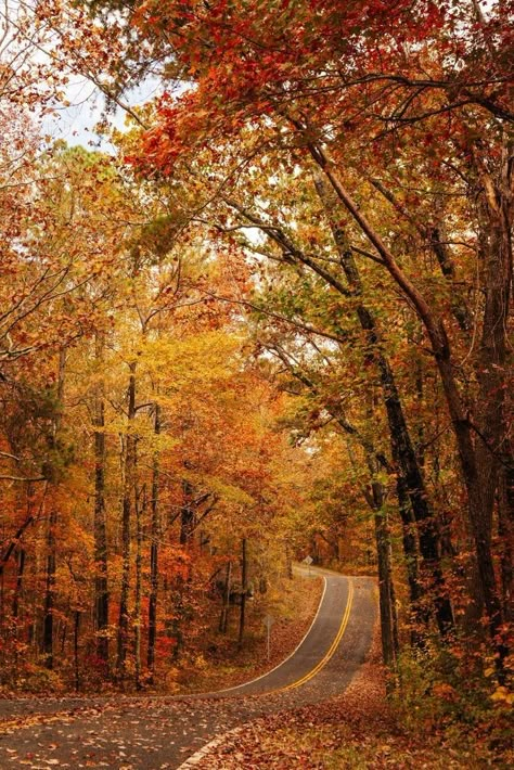 Fort Payne Alabama, River Canyon, Lookout Mountain, Autumn Rain, Autumn Ideas, Autumn Magic, Autumn Scenes, Fall Inspo, Autumn Scenery