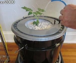 Single Dutch Bucket Hydroponic System - Easy DIY - Patio - Balcony - Winter Gardening Balcony Winter, Hydroponic Tomatoes, Growing Tomatoes Indoors, Growing Food Indoors, Tomato Farming, Winter Gardening, Hydroponic Farming, Hydroponics Diy, Growing Tomatoes In Containers