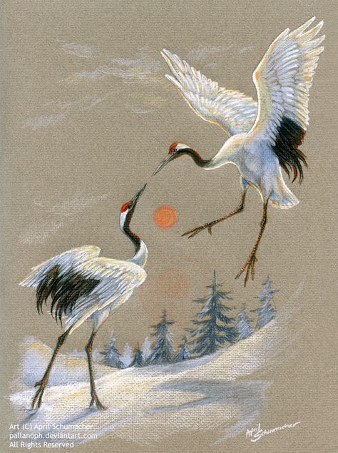 Crane Drawing, Crane Tattoo, Frida Art, Japanese Crane, Art Chinois, Sample Paper, Herons, Art Supply, Art Japonais