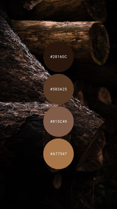 Bed Decor Bed Design Chocolate Brown Color Palette Bedrooms, Brown Wood Color Palette, Wood Color Pallete, Deep Rich Color Palette, Warm And Cozy Color Palette, Natural Wood Color Palette, Brown Color Palette Aesthetic, Latest Bed Design 2023, Earthy Color Palette Bedrooms