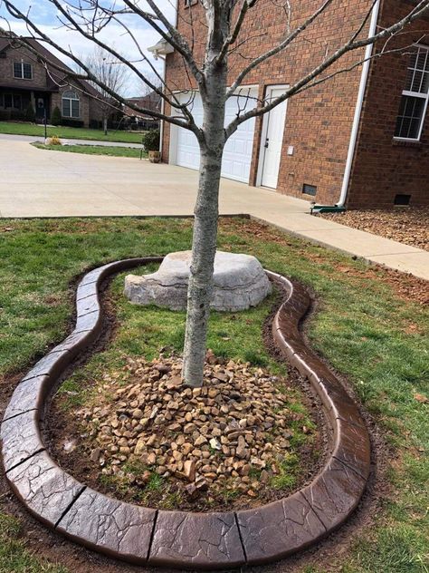 Concrete Garden Edging, Concrete Edging, Concrete Curbing, Trees Landscaping, Palm Trees Landscaping, Florida Landscape, Front Yard Landscaping Pictures, Outdoor Covered Patio, Landscape Edging