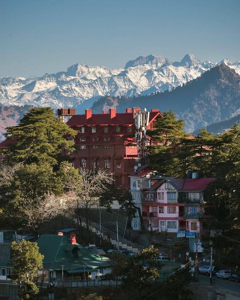 Shimla Aesthetic Photos, Shimla Aesthetic, Shimla Photography, Himachal Photography, Himalaya Mountain, India Places, Beautiful Beaches Paradise, Mountains Aesthetic, Travel Infographic